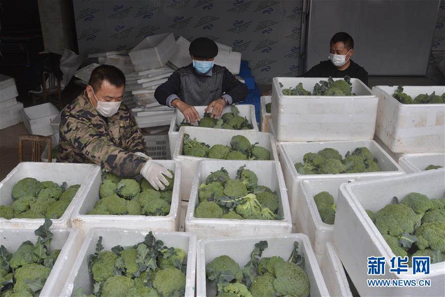 (做好六穩(wěn)工作 應對復雜局面·圖文互動)(2)穩(wěn)住“菜籃子” 守住“好日子”