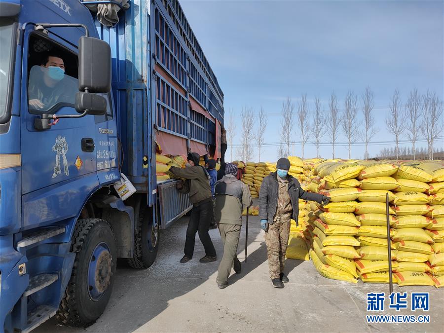 （春耕備耕&middot;圖文互動）（1）&ldquo;疫&rdquo;線賽農(nóng)時(shí) 播種新希望&mdash;&mdash;產(chǎn)糧大省黑龍江別樣&ldquo;備耕圖&rdquo;