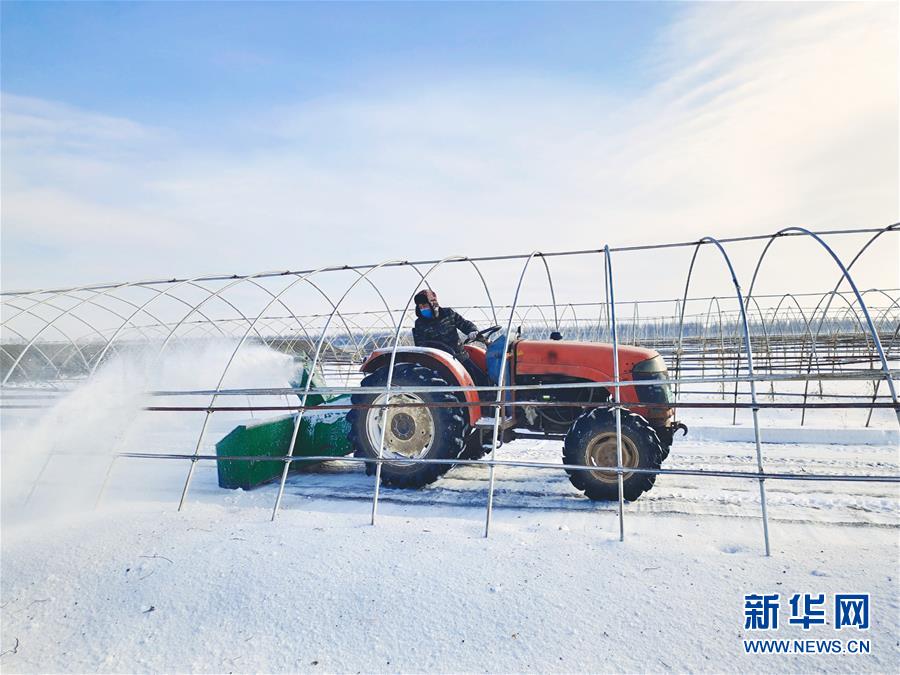 （春耕備耕&middot;圖文互動）（2）&ldquo;疫&rdquo;線賽農(nóng)時(shí) 播種新希望&mdash;&mdash;產(chǎn)糧大省黑龍江別樣&ldquo;備耕圖&rdquo;