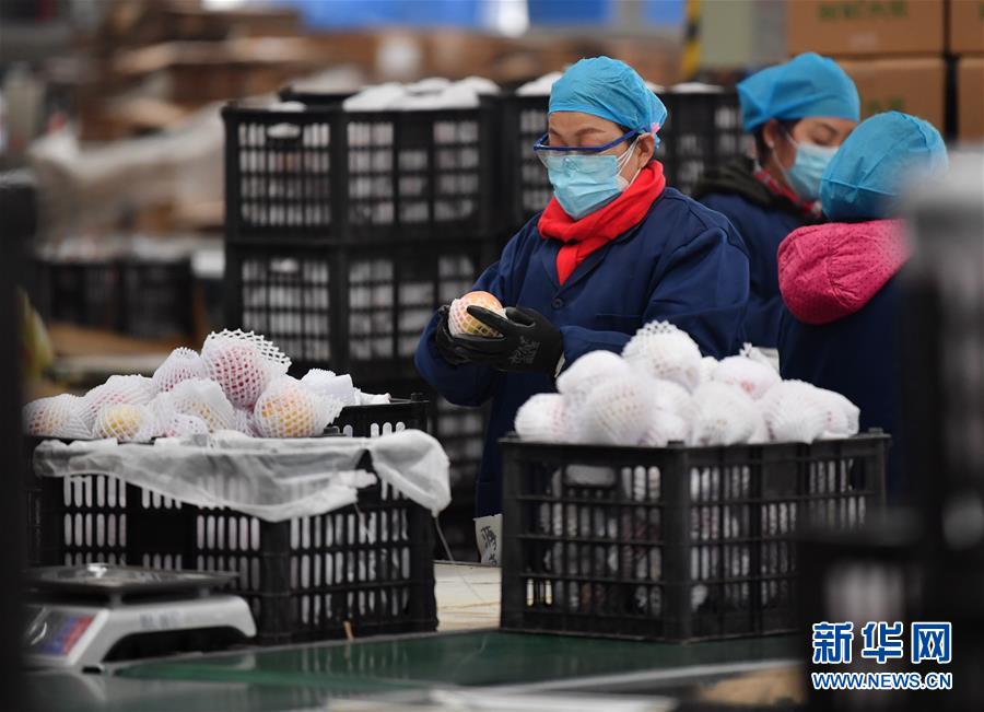 （聚焦疫情防控&middot;圖文互動）（4）&ldquo;一輛輛車出發(fā)，春暖花開的日子就不遠了&rdquo;&mdash;&mdash;西北電商大縣陜西省武功縣復工見聞