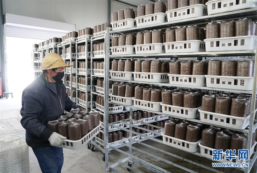 （決戰(zhàn)決勝脫貧攻堅&middot;圖文互動）（1）秦巴山區(qū)：戰(zhàn)疫戰(zhàn)貧，兩場仗都要打贏