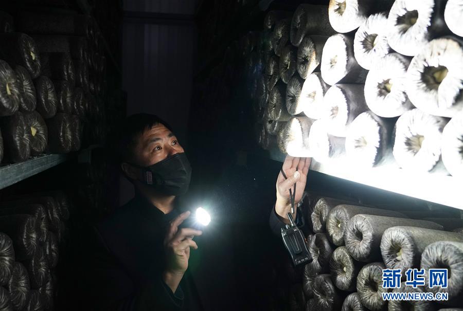 （決戰(zhàn)決勝脫貧攻堅&middot;圖文互動）（4）秦巴山區(qū)：戰(zhàn)疫戰(zhàn)貧，兩場仗都要打贏