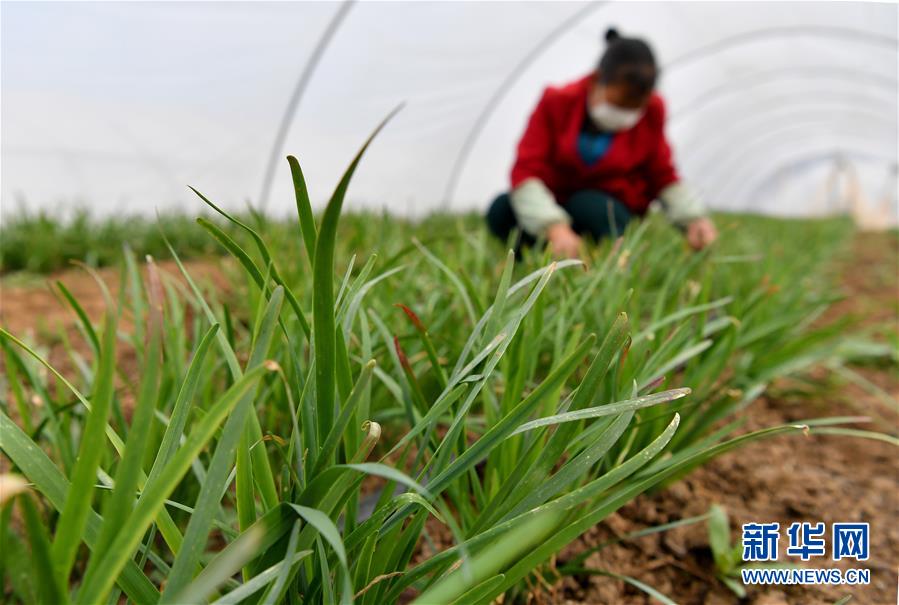 （圖文互動）（3）&ldquo;春天到了，熟悉的生活正在慢慢回來&rdquo;&mdash;&mdash;陜西多地復(fù)產(chǎn)復(fù)工一線見聞