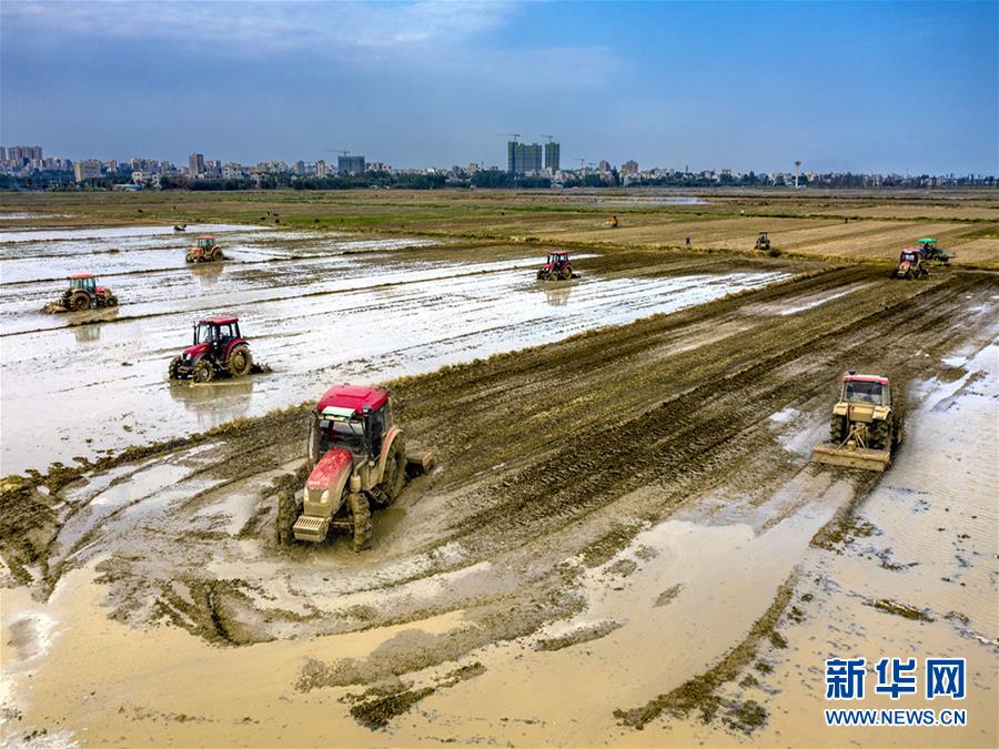 （圖文互動）讓&ldquo;世界工廠&rdquo;心不慌&mdash;&mdash;廣東春耕生產(chǎn)見聞