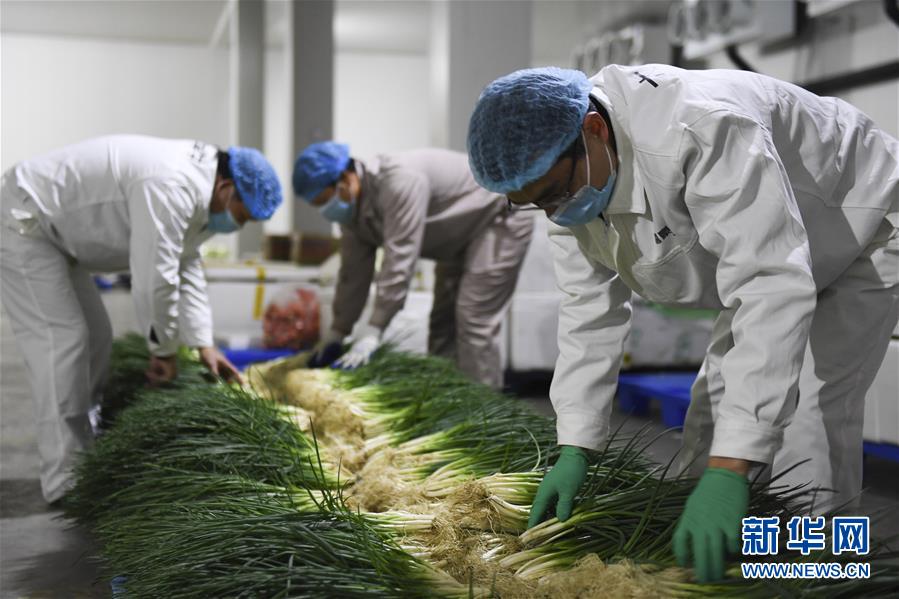 （圖文互動）（6）&ldquo;早一天復(fù)工，損失就少一點&rdquo;&mdash;&mdash;廣西以精準防控推動復(fù)工復(fù)產(chǎn)一線見聞