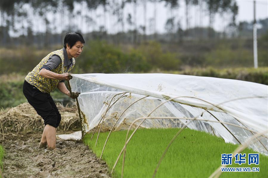 （圖文互動）（2）&ldquo;早一天復(fù)工，損失就少一點&rdquo;&mdash;&mdash;廣西以精準防控推動復(fù)工復(fù)產(chǎn)一線見聞