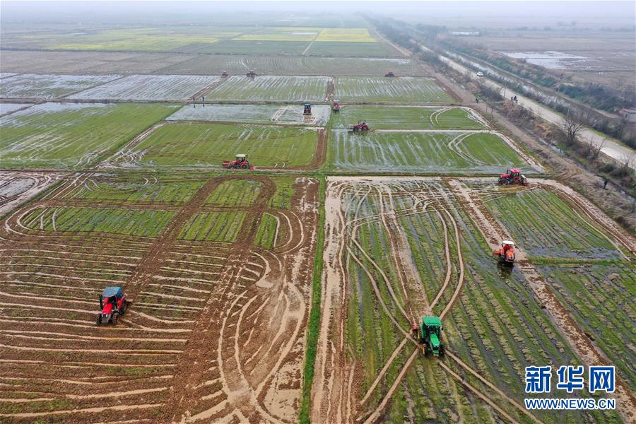 （抓好春耕備耕 穩(wěn)住農(nóng)業(yè)生產(chǎn)&middot;圖文互動(dòng)）（2）智能農(nóng)機(jī)、&ldquo;訂單&rdquo;服務(wù)、&ldquo;云端&rdquo;種菜&mdash;&mdash;來(lái)自江西的春耕&ldquo;新事&rdquo;