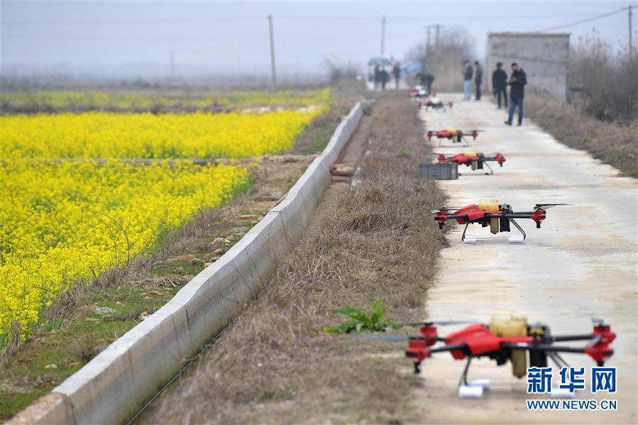 （抓好春耕備耕 穩(wěn)住農(nóng)業(yè)生產(chǎn)&middot;圖文互動(dòng)）（4）智能農(nóng)機(jī)、&ldquo;訂單&rdquo;服務(wù)、&ldquo;云端&rdquo;種菜&mdash;&mdash;來(lái)自江西的春耕&ldquo;新事&rdquo;