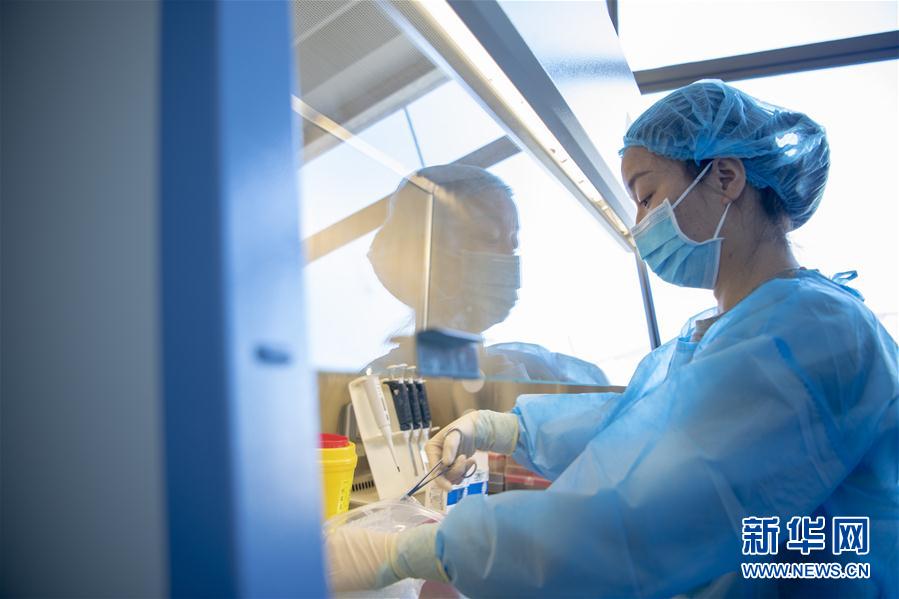 （一線抗疫群英譜&middot;圖文互動）（3）&ldquo;90后&rdquo;檢驗員張慧變：每個樣本都是一份沉甸甸的責(zé)任