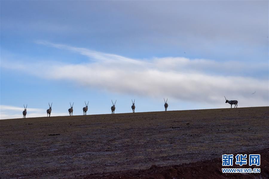 （新華全媒頭條&middot;圖文互動）（1）跨越半個世紀(jì)的生命遷徙&mdash;&mdash;西藏極高海拔生態(tài)搬遷破解人與自然共生難題