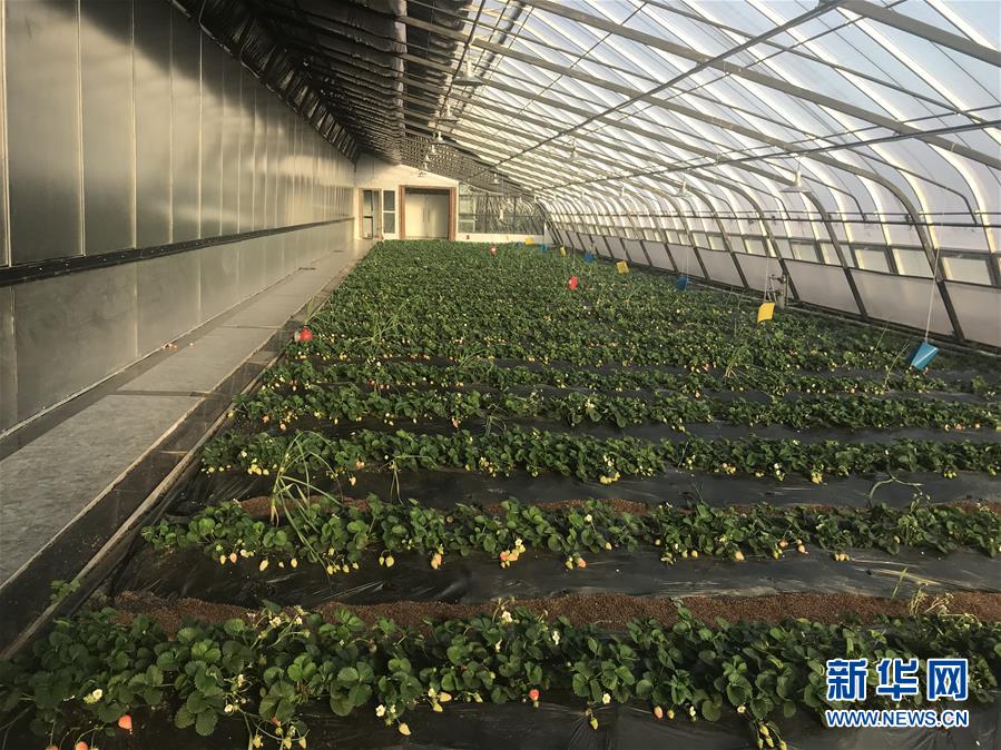 （圖文互動(dòng)）（2）產(chǎn)業(yè)變綠 石墨變金 環(huán)境變美&mdash;&mdash;&ldquo;煤城&rdquo;三變?cè)杏旱纳鷻C(jī)