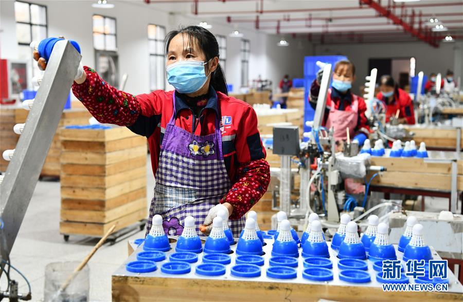 (決戰(zhàn)決勝脫貧攻堅(jiān)·圖文互動)(6)天然“寶貝”促增收——貴州錦屏縣培育扶貧產(chǎn)業(yè)見聞