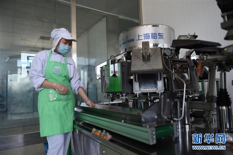 （在習(xí)近平新時代中國特色社會主義思想指引下&mdash;&mdash;新時代新作為新篇章&middot;習(xí)近平總書記關(guān)切事&middot;圖文互動）（8）穩(wěn)住千家萬戶的&ldquo;飯碗&rdquo;&mdash;&mdash;各地積極穩(wěn)就業(yè)化解疫情影響