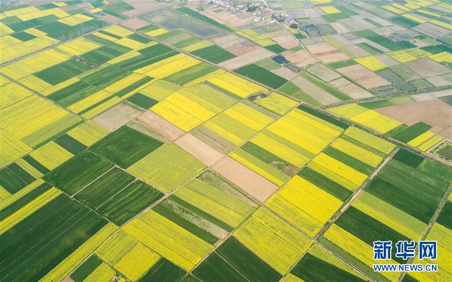 （新華全媒頭條&middot;圖文互動）（6）在艱難中重啟 在陣痛中復蘇&mdash;&mdash;湖北推動安全有序復工復產(chǎn)掃描