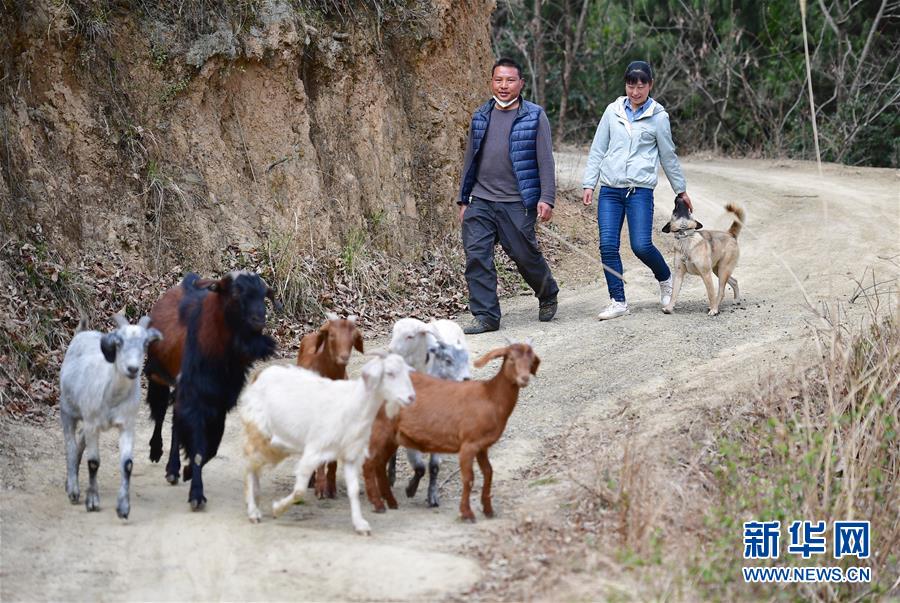 (新華全媒頭條·圖文互動)(7)奔向新的幸福——陜西貧困縣全部摘帽的N個截面