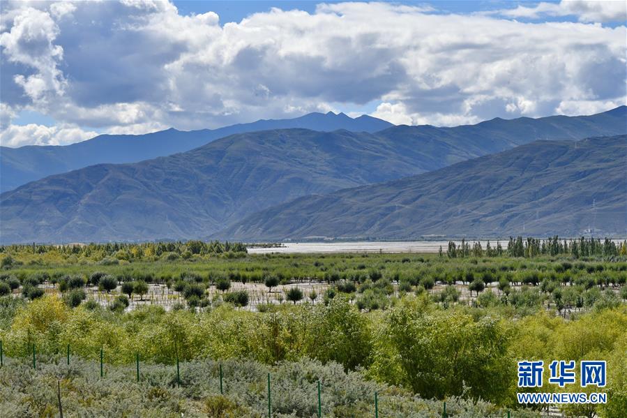 （圖文互動）（4）&ldquo;今天的生活，就像夢里夢到那樣甜&rdquo;&mdash;&mdash;寫在西藏百萬農(nóng)奴解放61周年之際