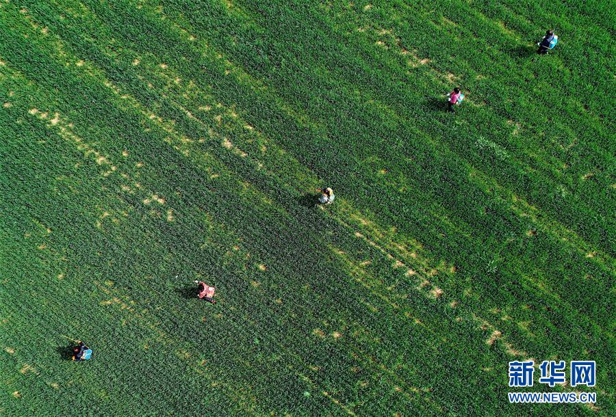 （新華全媒頭條&middot;圖文互動(dòng)）（5）春天，匯聚復(fù)蘇的力量&mdash;&mdash;寫在2020年首季中國經(jīng)濟(jì)收官之際