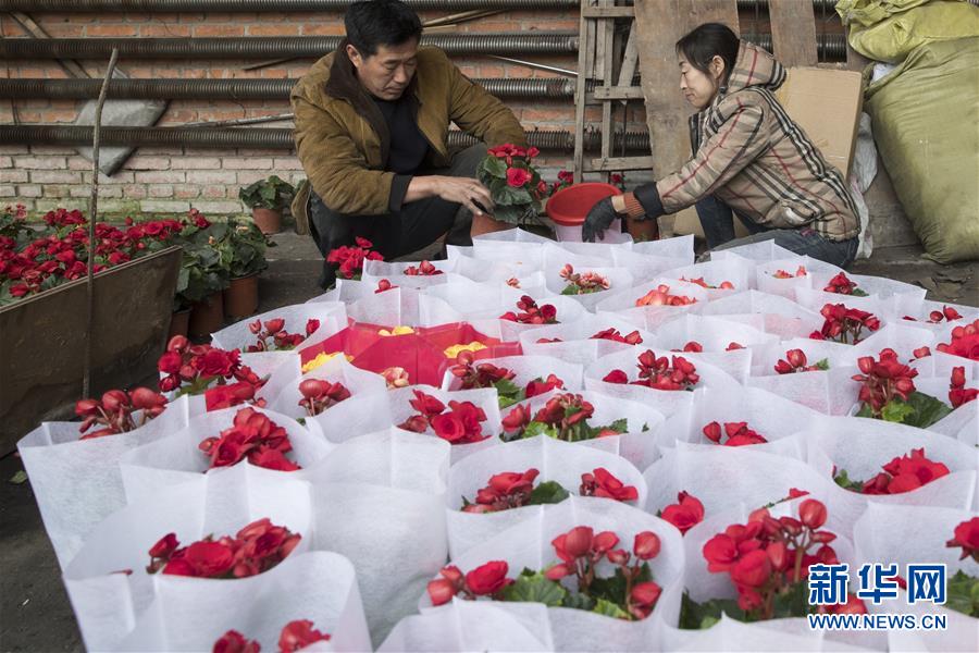 （在習近平新時代中國特色社會主義思想指引下&mdash;&mdash;新時代新作為新篇章&middot;習近平總書記關切事&middot;圖文互動）（1）希望的田野，希望的春天&mdash;&mdash;各地農(nóng)業(yè)生產(chǎn)新動態(tài)掃描