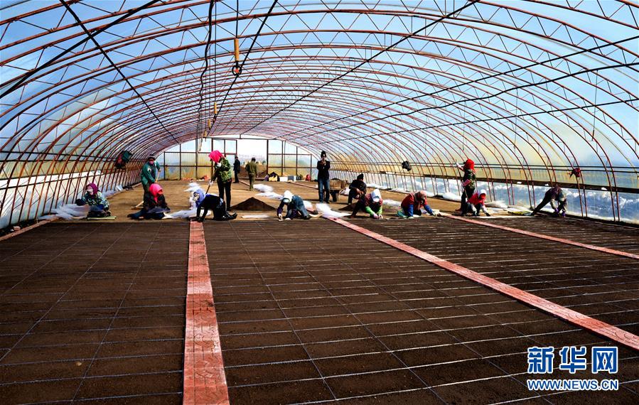 （在習近平新時代中國特色社會主義思想指引下&mdash;&mdash;新時代新作為新篇章&middot;習近平總書記關切事&middot;圖文互動）（5）希望的田野，希望的春天&mdash;&mdash;各地農(nóng)業(yè)生產(chǎn)新動態(tài)掃描