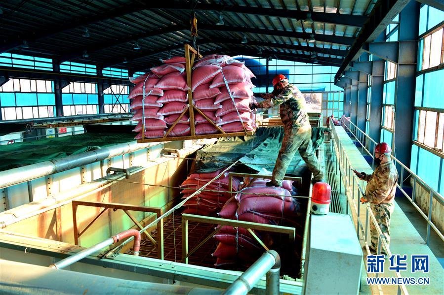 （在習近平新時代中國特色社會主義思想指引下&mdash;&mdash;新時代新作為新篇章&middot;習近平總書記關切事&middot;圖文互動）（6）希望的田野，希望的春天&mdash;&mdash;各地農(nóng)業(yè)生產(chǎn)新動態(tài)掃描