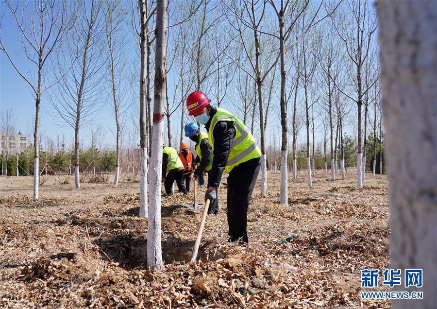 （新華全媒頭條&middot;圖文互動(dòng)）（8）雄安畫卷徐徐鋪展　&ldquo;未來之城&rdquo;蓄勢待發(fā)&mdash;&mdash;雄安新區(qū)設(shè)立三周年巡禮