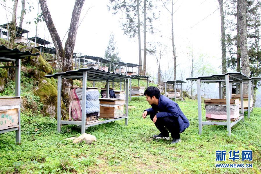 （決戰(zhàn)決勝脫貧攻堅&middot;圖文互動）（3）寄相思，償夙愿&mdash;&mdash;5封清明&ldquo;家書&rdquo;里的決戰(zhàn)決勝信念