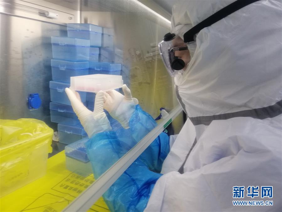 （一線抗疫群英譜&middot;圖文互動）（2）&ldquo;95后&rdquo;大學生郝鶯歌：退掉車票，她選擇直面病毒