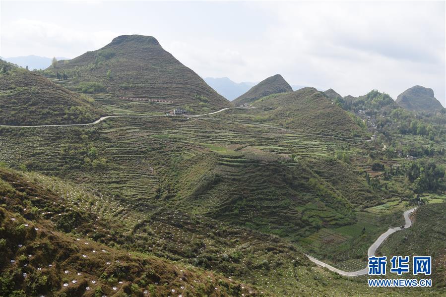 （決戰(zhàn)決勝脫貧攻堅&middot;圖文互動）（1）逐項逐戶排查補(bǔ)齊脫貧攻堅&ldquo;短板&rdquo;&mdash;&mdash;貴州晴隆縣扶貧一線工作見聞 