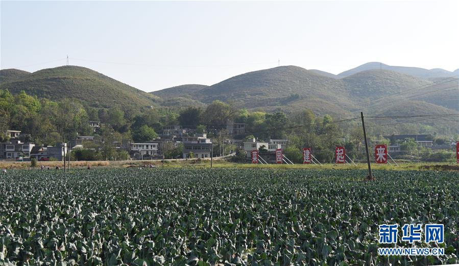 （決戰(zhàn)決勝脫貧攻堅&middot;圖文互動）（2）逐項逐戶排查補(bǔ)齊脫貧攻堅&ldquo;短板&rdquo;&mdash;&mdash;貴州晴隆縣扶貧一線工作見聞 