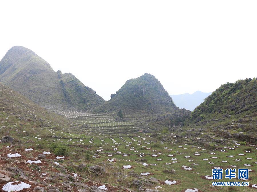 （決戰(zhàn)決勝脫貧攻堅&middot;圖文互動）（4）逐項逐戶排查補(bǔ)齊脫貧攻堅&ldquo;短板&rdquo;&mdash;&mdash;貴州晴隆縣扶貧一線工作見聞 