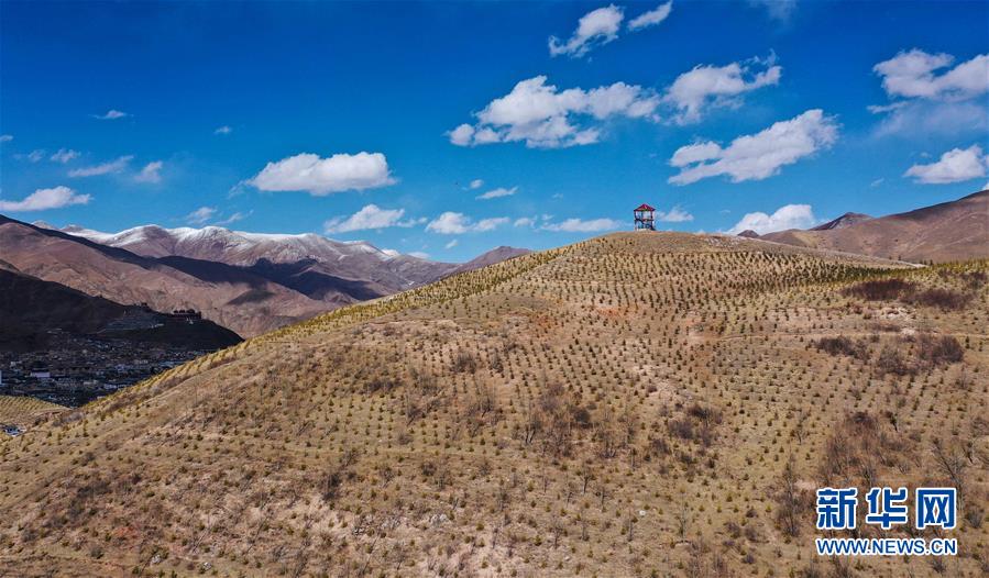 （新華全媒頭條&middot;圖文互動(dòng)）（6）三江之源見證中國奇跡&mdash;&mdash;寫在玉樹地震10周年之際