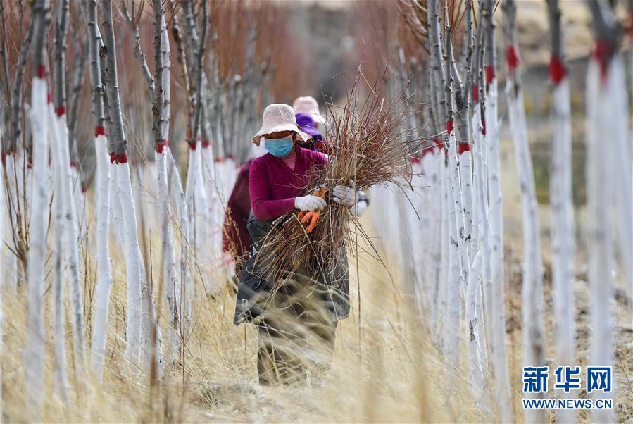 （新華全媒頭條&middot;圖文互動(dòng)）（14）三江之源見證中國奇跡&mdash;&mdash;寫在玉樹地震10周年之際