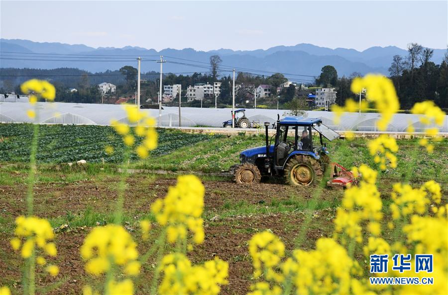 （決戰(zhàn)決勝脫貧攻堅(jiān)&middot;圖文互動(dòng)）（3）貴州黔東南：搶抓壩區(qū)春耕 決勝脫貧攻堅(jiān)