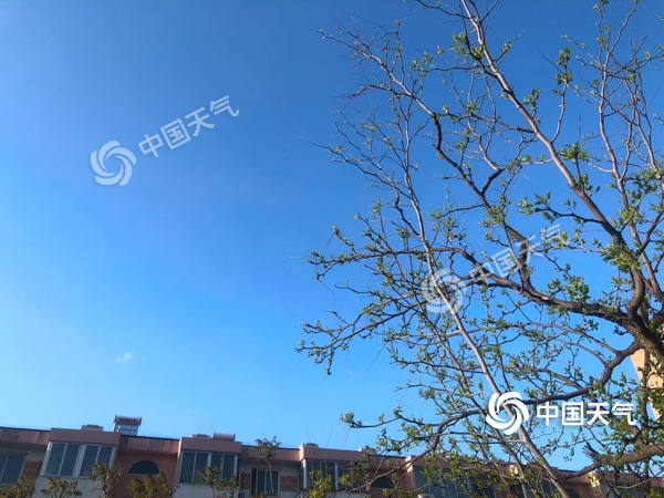 陣風(fēng)8級(jí)!北京遭遇雨后大降溫 北風(fēng)勁吹需添衣