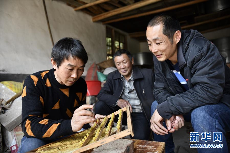 （決戰(zhàn)決勝脫貧攻堅(jiān)&middot;圖文互動(dòng)）（3）一位農(nóng)民的產(chǎn)業(yè)扶貧成績單 