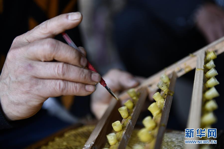 （決戰(zhàn)決勝脫貧攻堅(jiān)&middot;圖文互動(dòng)）（4）一位農(nóng)民的產(chǎn)業(yè)扶貧成績單 