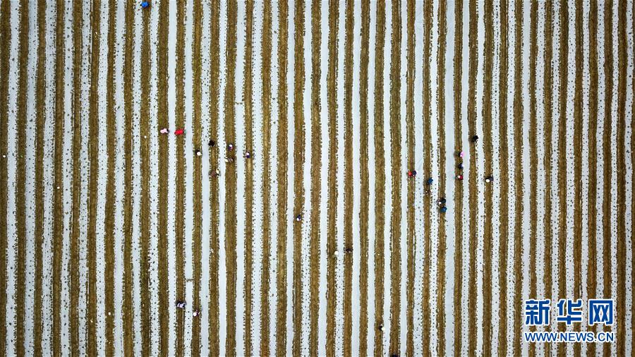 （在習(xí)近平新時代中國特色社會主義思想指引下&mdash;&mdash;新時代新作為新篇章&middot;習(xí)近平總書記關(guān)切事&middot;圖文互動）（6）啃下最后的硬骨頭&mdash;&mdash;脫貧攻堅掛牌督戰(zhàn)進行時