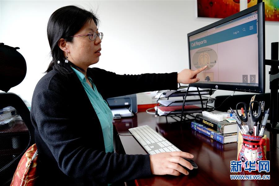 （圖文互動）（1）攻擊行為如何被大腦控制？科學(xué)家在小鼠大腦中發(fā)現(xiàn)&ldquo;調(diào)節(jié)開關(guān)&rdquo;