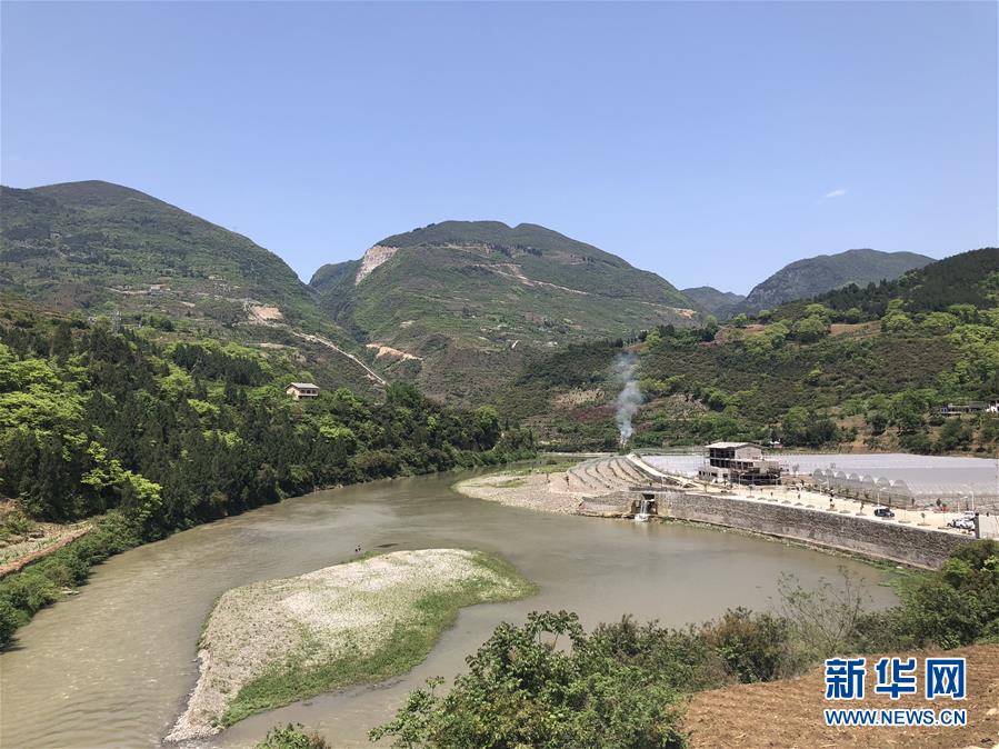 （決戰(zhàn)決勝脫貧攻堅(jiān)&middot;圖文互動(dòng)）（1）野奶角又見(jiàn)春天