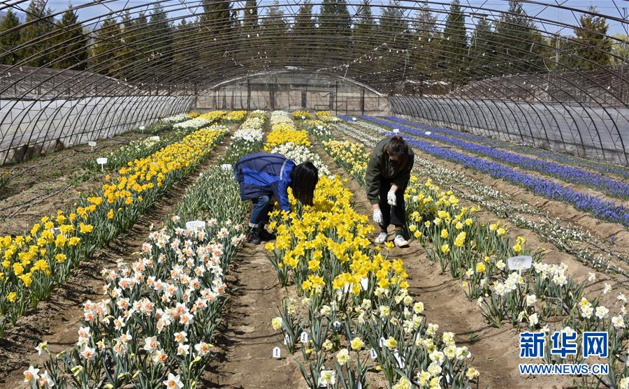 （新華全媒頭條&middot;圖文互動）（2）永遠(yuǎn)的夢想 永恒的追求&mdash;&mdash;寫在北京世園會開幕一周年之際