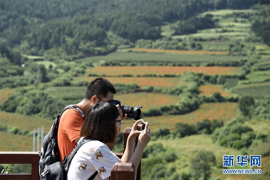 （圖文互動(dòng)）（1）這座小城，鐫刻下怎樣的&ldquo;世園印記&rdquo;&mdash;&mdash;北京世園會(huì)開園一周年探訪延慶