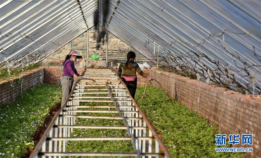 （圖文互動(dòng)）（2）這座小城，鐫刻下怎樣的&ldquo;世園印記&rdquo;&mdash;&mdash;北京世園會(huì)開園一周年探訪延慶