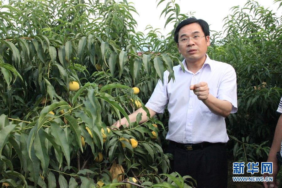 （圖文互動）（2）&ldquo;為脫貧而來，為脫貧而去&rdquo;&mdash;&mdash;追記湖南炎陵縣委原書記黃詩燕 