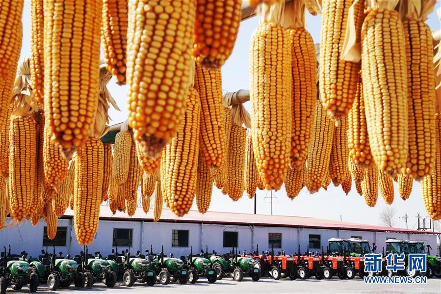 （新華全媒頭條&middot;圖文互動(dòng)）（5）讓中國飯碗端得更牢&mdash;&mdash;&ldquo;中華糧倉&rdquo;春耕剪影