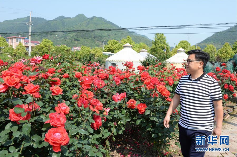 (決戰(zhàn)決勝脫貧攻堅(jiān)·圖文互動(dòng))(6)理發(fā)師“修剪”鄉(xiāng)村游一團(tuán)亂麻