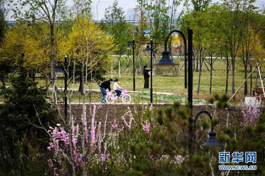 (聚焦疫情防控)(1)黑龍江縣市區(qū)疫情風險等級7日起均為低風險