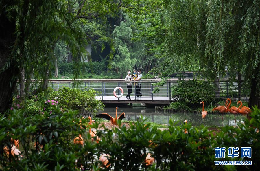 （在習(xí)近平新時(shí)代中國(guó)特色社會(huì)主義思想指引下&mdash;&mdash;新時(shí)代新作為新篇章&middot;習(xí)近平總書記關(guān)切事&middot;圖文互動(dòng)）（8）疫情防控不減壓　復(fù)工復(fù)產(chǎn)正加速&mdash;&mdash;武漢&ldquo;解封&rdquo;滿月觀察