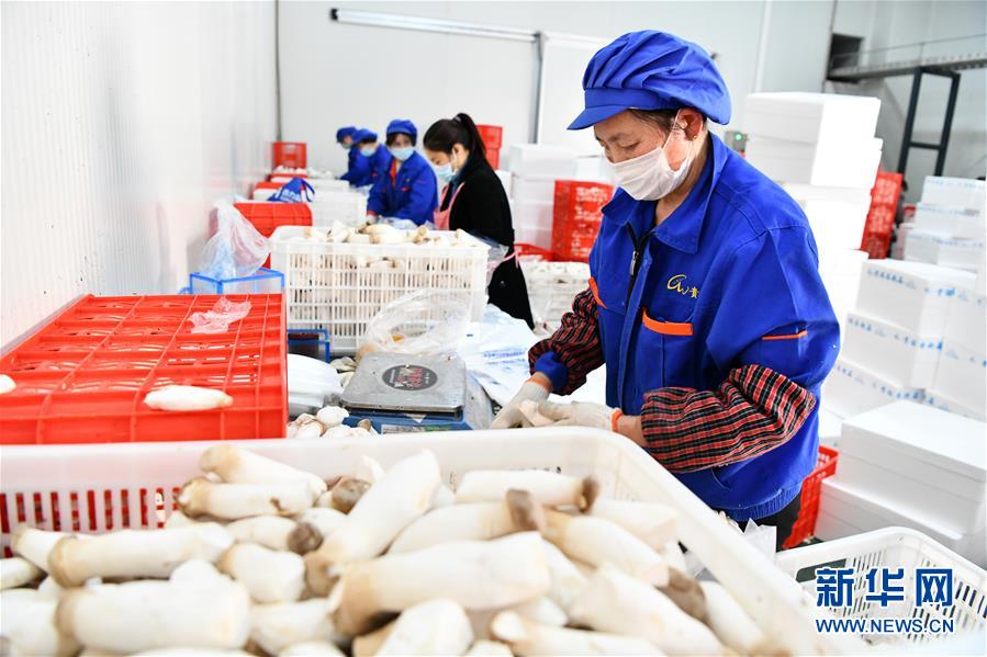 （決戰(zhàn)決勝脫貧攻堅&middot;圖文互動）（2）補(bǔ)短板 促就業(yè) 穩(wěn)增收&mdash;&mdash;貴州向脫貧&ldquo;硬骨頭&rdquo;發(fā)起總攻