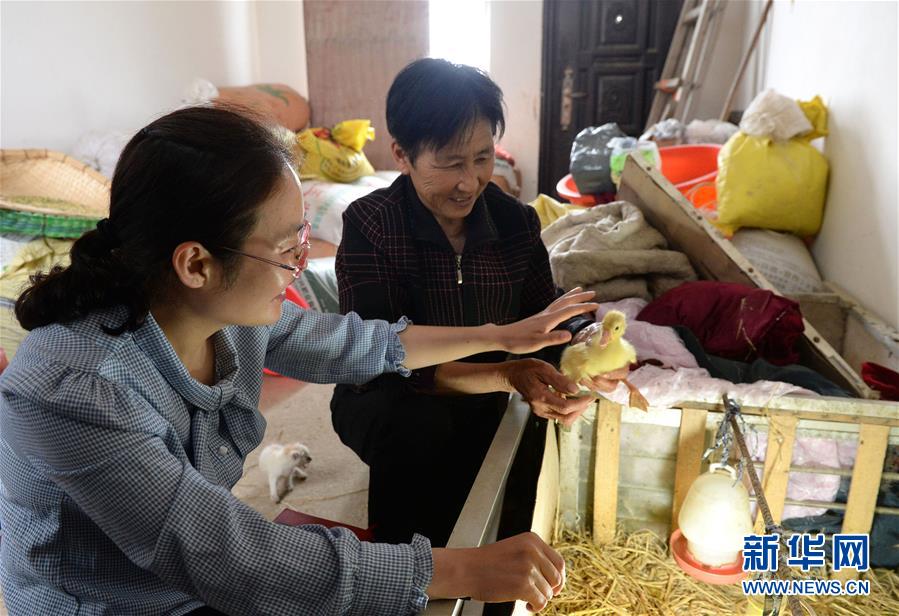 (代表委員履職)(2)全國人大代表王萌萌:產(chǎn)業(yè)興旺讓鄉(xiāng)村振興更有底氣