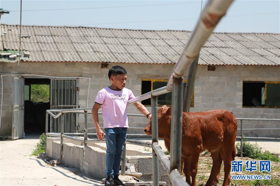 （新華全媒頭條&middot;圖文互動）（8）刺梨花開滿山紅&mdash;&mdash;記在貴州脫貧攻堅(jiān)一線奮斗的殘疾人